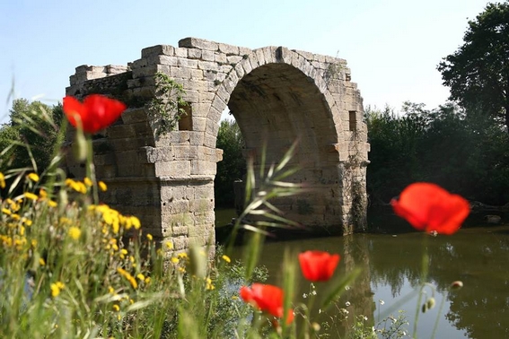 Camping Lunel Les Amandiers (30) Gard : visiter le Pont Romain