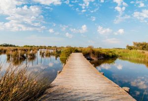 Camping Les Amandiers, dans le parc naturel regional de la Camargue