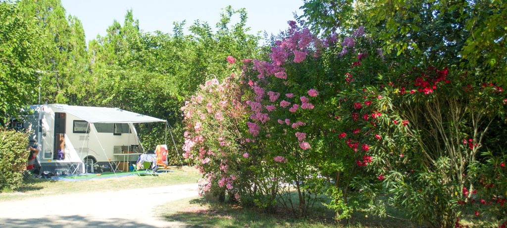 Emplacement à l'ombre camping en Camargue à l'ombre