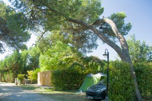 Camping Les Amandiers : Emplacement Camping Gard pour Tente