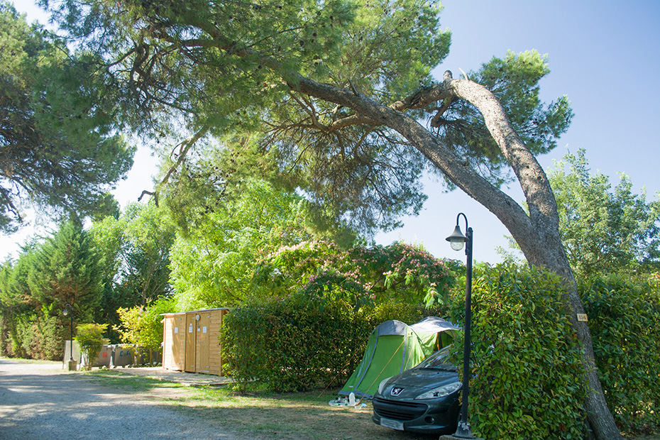Campingwieg: Tent Kampeerplaats