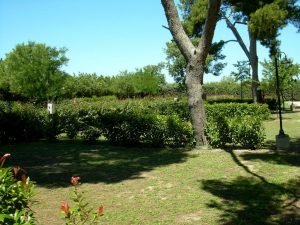 Emplacement camping gard en pleine nature