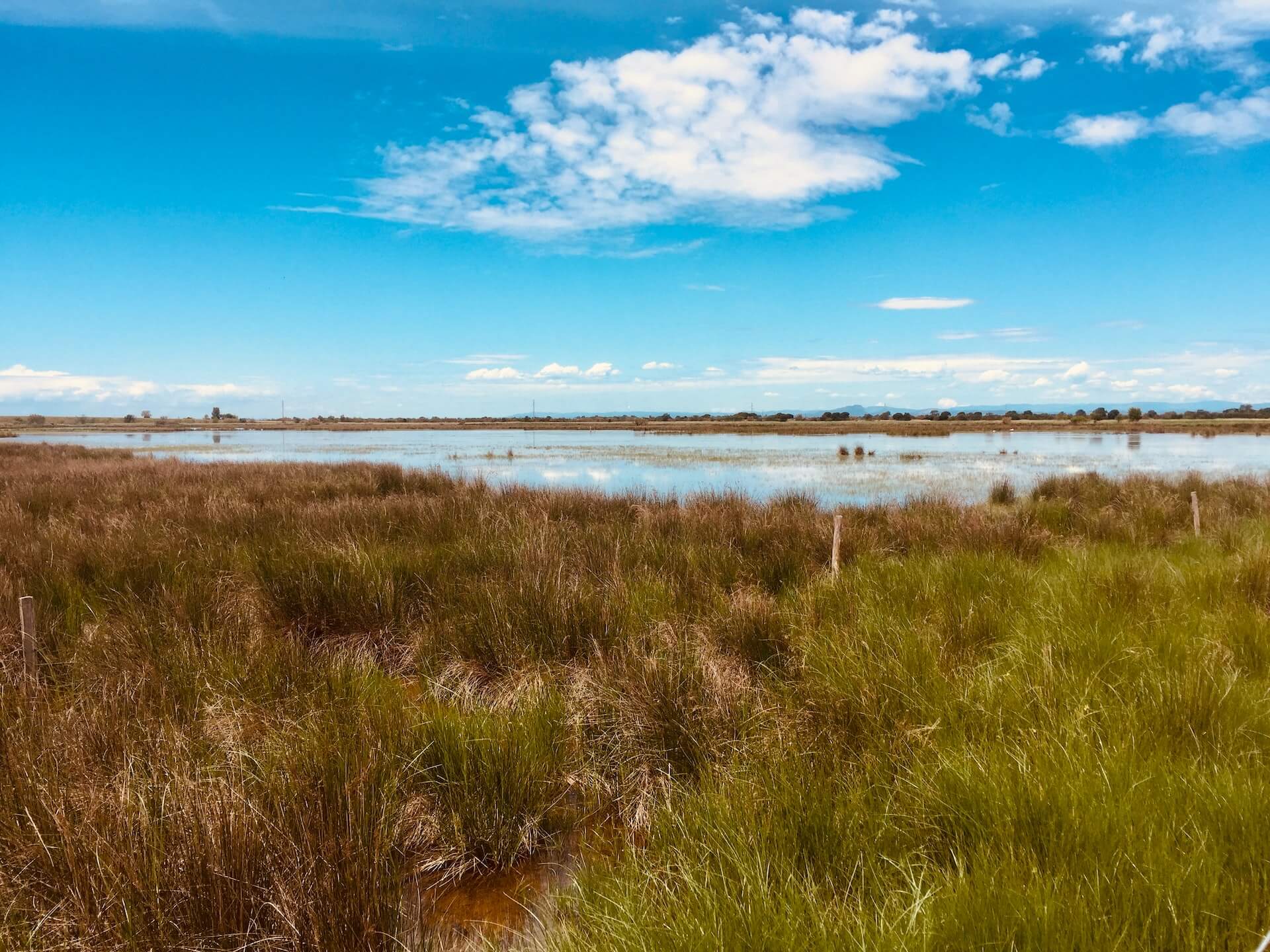 Camping Les Amandiers (30) Gard : Camargue Gard