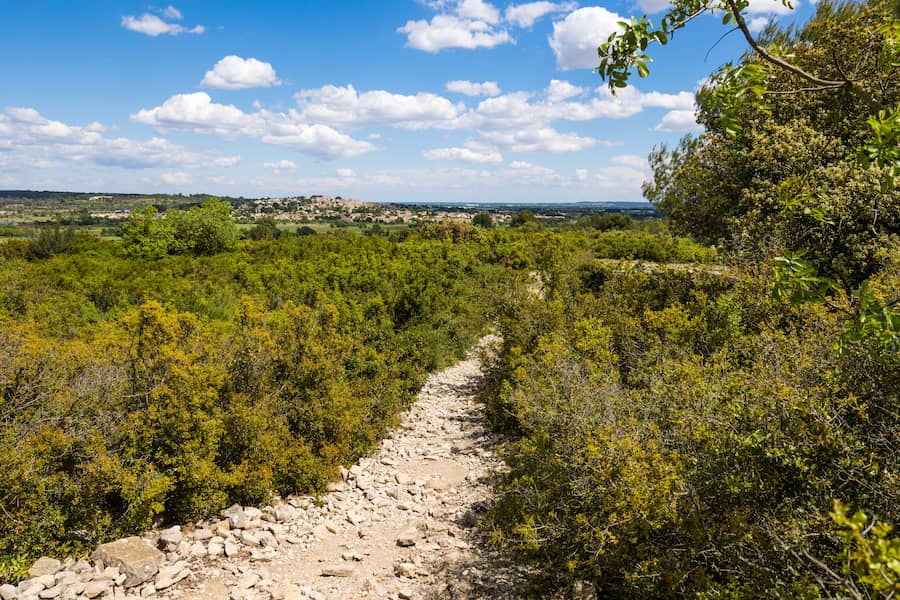 Sentier de randonnée à Gallargues-le-Montueux - Camping les Amandiers