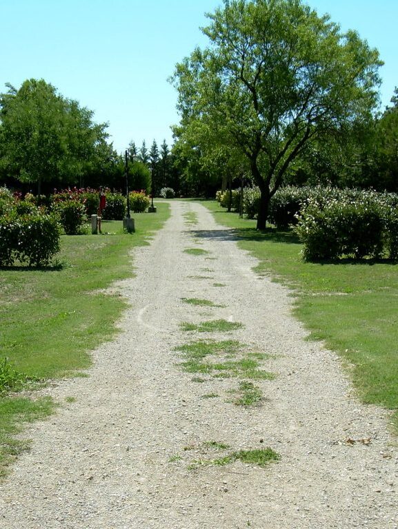 Les Amandiers : Location Emplacement camping Gard